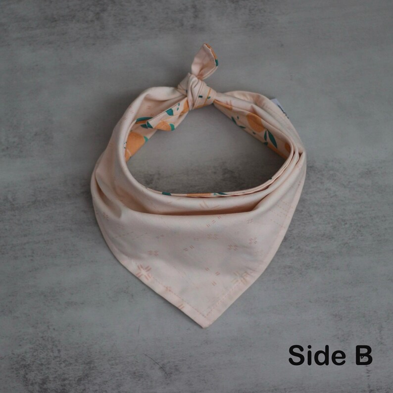 May include: A pink bandana with a floral pattern on one side and a subtle pattern on the other side. The bandana is tied in a knot at the top. The text "Side B" is visible at the bottom of the image.