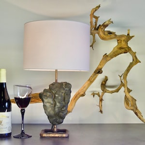 Natural Turtle Stone Table Lamp with Edison LED Bulb