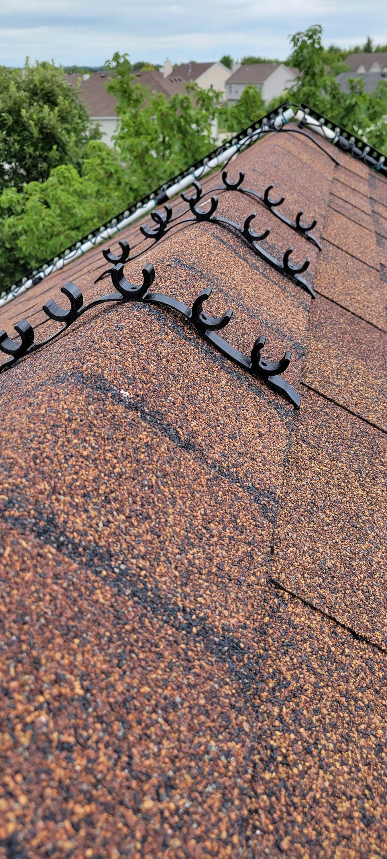 LIFETIME WARRANTY - 1/2