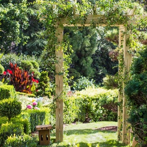 Planes de carpintería para un hermoso cenador de jardín