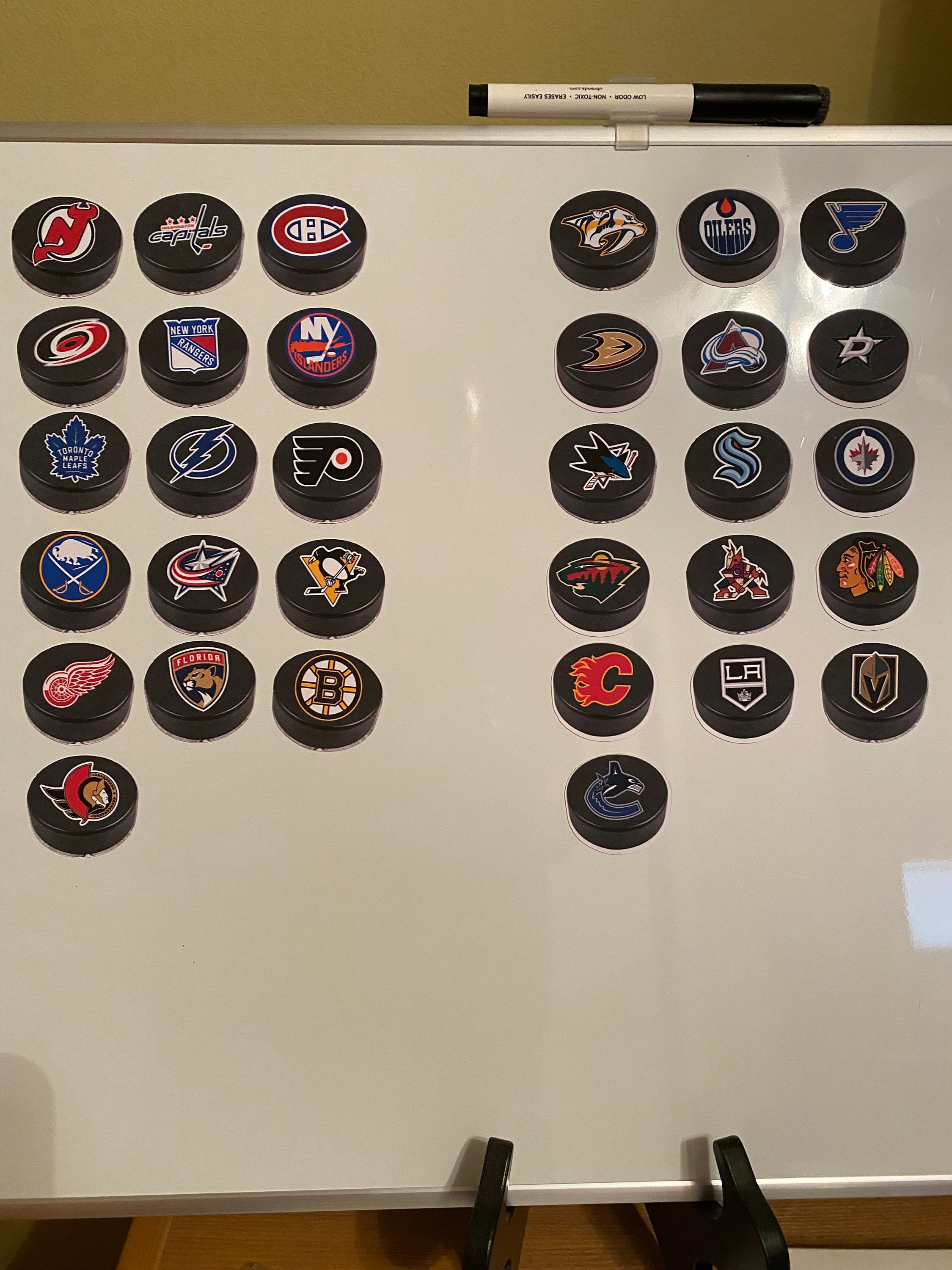 NHL MAGNETIC STANDINGS BOARD Magnets Chart ~ Officially Licensed ~ All 32  Teams