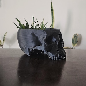 Human Skull Planter Pot – 8.5 Inch Gothic Skull Plant Holder, 3D Printed Indoor Planter, Dark Academia Home Decor, Macabre Shelf Display