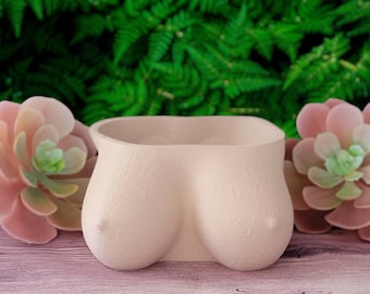 Boob Planter - 3D gedruckter Brust Sukkulenten Topf, lustiger Pflanztopf für Kakteen & Sukkulenten, einzigartiges Regal Dekor, Gag Geschenk