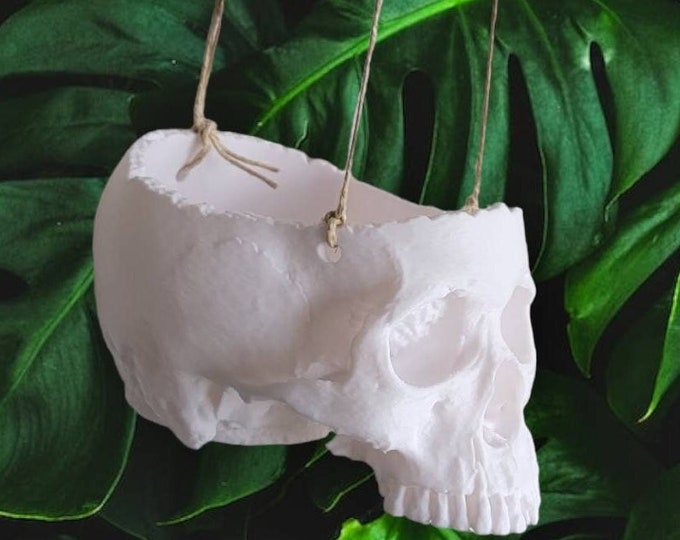 8.5" Hanging Scanned Realistic Human Skull Large Vase Planter Gift For Gothic Home Decor Succulent Planter Witchy Halloween Decor
