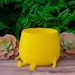 see more listings in the Planter section