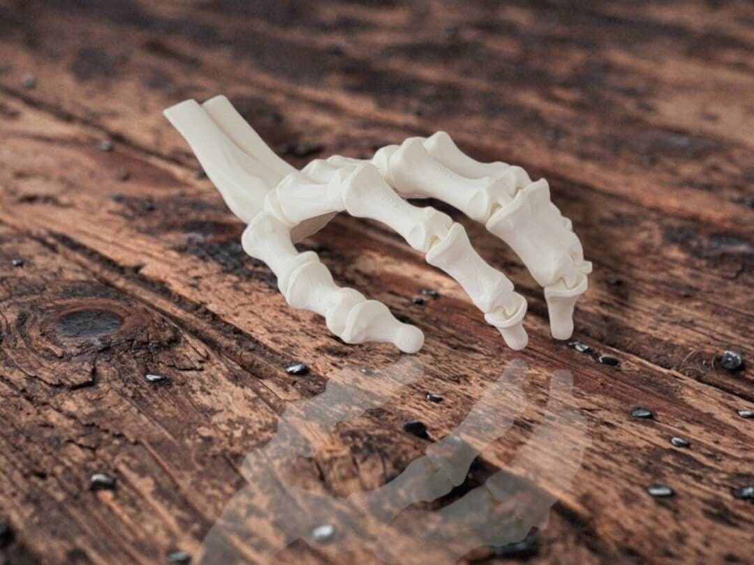 Life Size Articulating Skeleton Hand, Flexifactory, Halloween Skeleton
