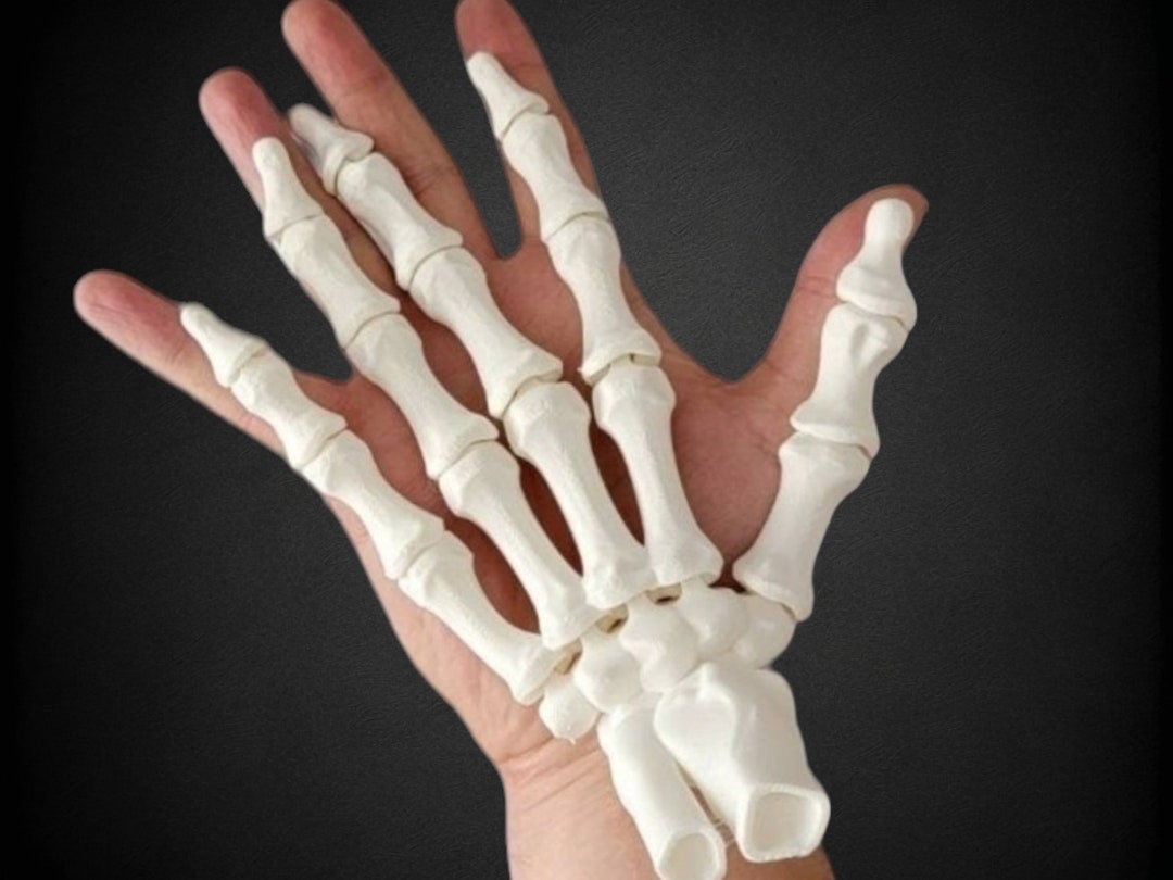 Life Size Articulating Skeleton Hand, Flexifactory, Halloween Skeleton