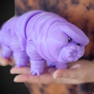 2 Sizes XL Articulated Tardigrade – 3D Printed Water Bear Toy, Poseable Flexi Micro Animal, Science Desk Decor, Unique Biology Gift