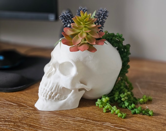 Human Skull Planter [3 Sizes] Realistic Succulent Planter With Drain Cute Halloween Gift For Gothic Plant Lover Spooky Home Decor