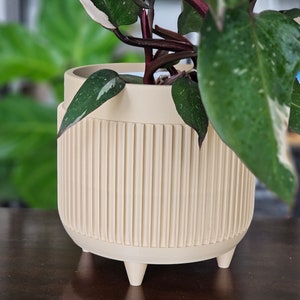 3 Sizes Ellwood Large Indoor Planter With Drainage Boho Gift For Planter Lover Modern Minimalist Home Decor Housewarming Gift Flower Pot