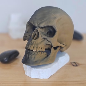 Articulating Vampire Human Skull, Fidget Toy, Decoration 3D Printed