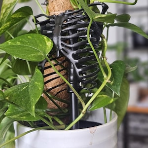 Skeleton Plant Trellis – 3D Printed Gothic Trellis for Houseplants, Creepy Cute Plant Support, Halloween Planter Decor