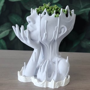Extra-Large Melted Goddess Head – 3D Printed Surreal Wall Planter, Feminine Modern Art Sculpture, Unique Statement Decor for Home or Studio