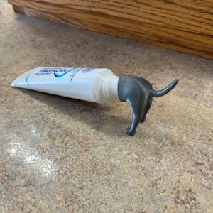 May include: A grey 3D printed dog figurine holding a tube of toothpaste. The toothpaste tube is white with blue lettering that reads "Sensodyne Pronamel".
