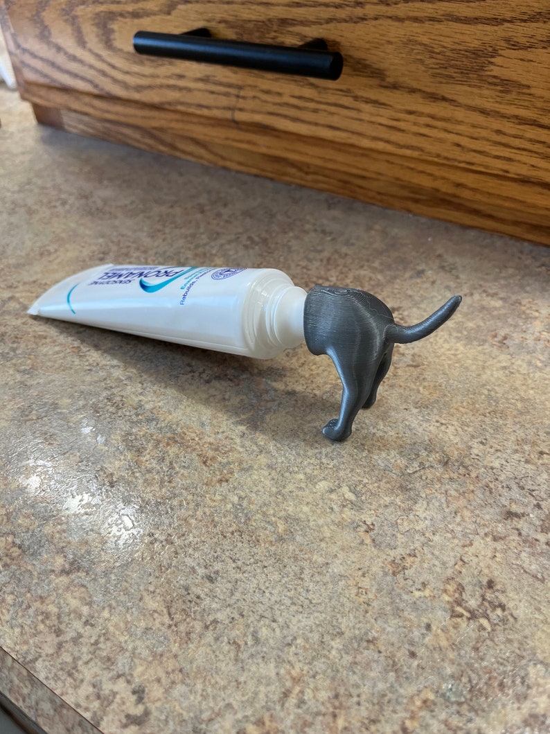 May include: A grey 3D printed dog figurine holding a tube of toothpaste. The toothpaste tube is white with blue lettering that reads "Sensodyne Pronamel".