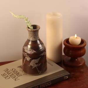 Puede incluir: Un jarrón de cerámica marrón y blanco con una rama de follaje verde, una vela blanca y un portavelas de madera sobre una mesa de madera con un libro titulado "Our National Parks" encima de la mesa.