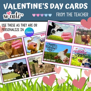 Cartões de Dia dos Namorados | Do seu professor | Tema Cute Cow | Para imprimir | Personalize com o link do Canva |