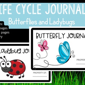 Life Cycle Journals | Butterly Ladybug | Color and BW | Science |