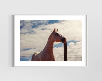 Horse print, 35mm original film photo, horse wall art, physical print— no printing necessary!