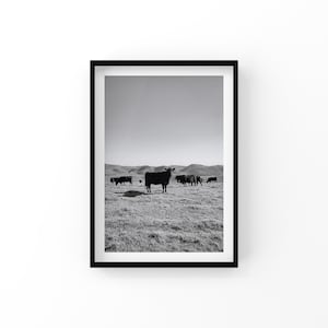 | d’impression de ferme | d’art mural rustique | photo de vache de montagne Impression murale en noir et blanc | Téléchargement numérique