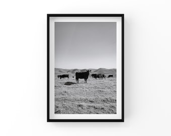 Farmhouse print | Rustic wall art | Mountain cow photo | Black and white wall print | Digital Download