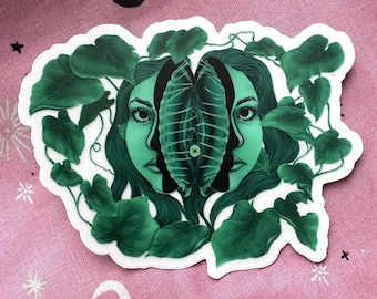 Venus Fly Trap Clear Vinyl Sticker