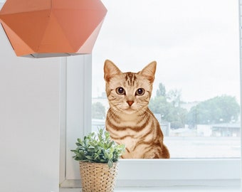 Tan Striped Cat Window Cling, Peeking Kitty Decal