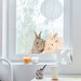 Pvc-free Leaded Clear Glass Decorative Window Film Diamond Pattern - Etsy