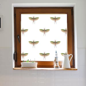 Pvc-free Green Butterfly Privacy Film, Nature Window Film, Frosted Privacy Film for Bathroom, Vintage Illustration Window Film