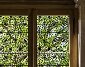 PVC-free Window Film Grate Pattern Inspired by "The Crown"