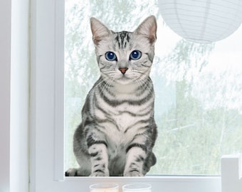 PVC-Free Striped Gray Cat Window Decal, Repositionable Animal Cling