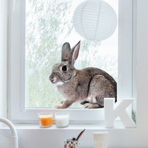 Gray rabbit window decal, Animal cling, kids, nature window film, bunny cling, retail decal, bunny window sticker