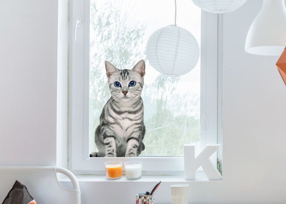 PVC-Free Striped Gray Cat Window Decal, Repositionable Animal Cling