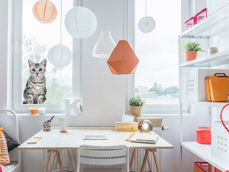 May include: A white desk with a light wood top and a white chair. There is a cat looking out the window, a lamp, and a shelf with various items on it.