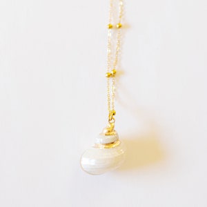 18k Gold Plated Real Seashell Necklace, Natural Shell Jewelry, Hawaiian ...