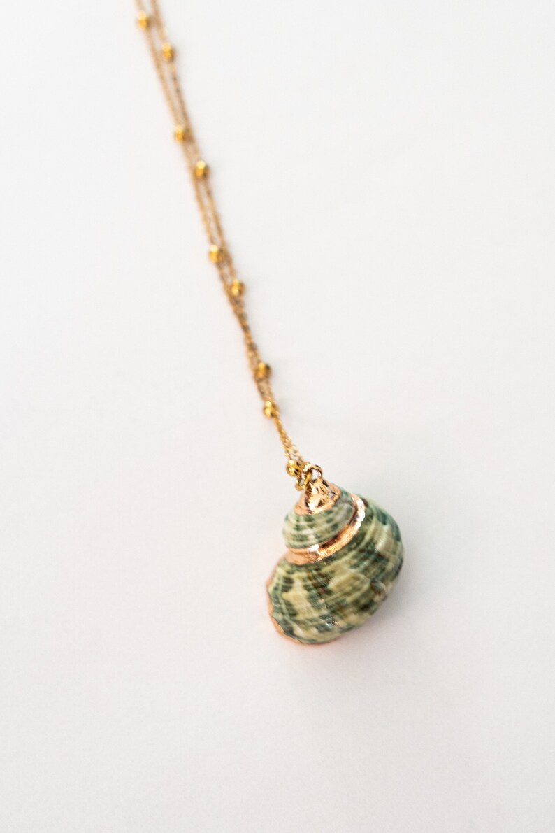 18k Gold Plated Real Seashell Necklace, Natural Shell Jewelry, Hawaiian ...
