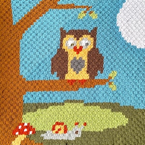 Crochet Owl Baby Blanket Pattern: Night Owl C2C Graphgan (PDF Download)