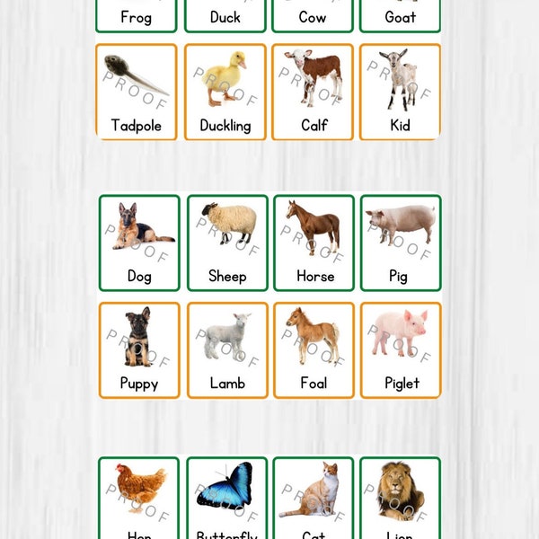 24 Printable Baby Animals & Parent Matching  Montessori Cards - 12 pairs,Toddlers and Pre-Schoolers - EYFS - home school Digital Download