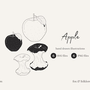 Könnte beinhalten: Schwarz-Weiß-Illustrationen von Äpfeln und Apfelkernen. Das Wort "Apple" ist kursiv geschrieben. Das Bild enthält den Text "hand drawn illustrations", "6 SVG files", "6 PNG files", "no. 046" und "fox & folklore".