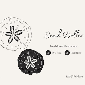 May include: Black and white hand-drawn illustrations of sand dollars. The image includes the text "Sand Dollar", "hand drawn illustrations", "2 SVG files", "2 PNG files", "no. 21", and "fox & folklore".