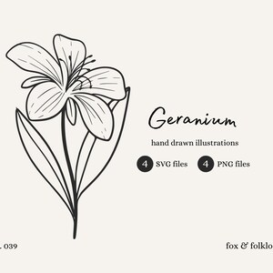 Può includere: Illustrazione in bianco e nero di un fiore di geranio con la scritta "Geranium" e "hand drawn illustrations". L'immagine include il testo "4 file SVG" e "4 file PNG". Il numero "039" è in basso a sinistra e "fox & folklore" in basso a destra.