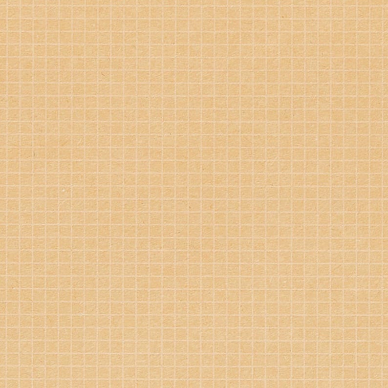 May include: A close-up of a textured, light brown paper with a grid pattern. The grid lines are a lighter shade of brown, creating a subtle contrast. The paper has a slightly aged appearance.