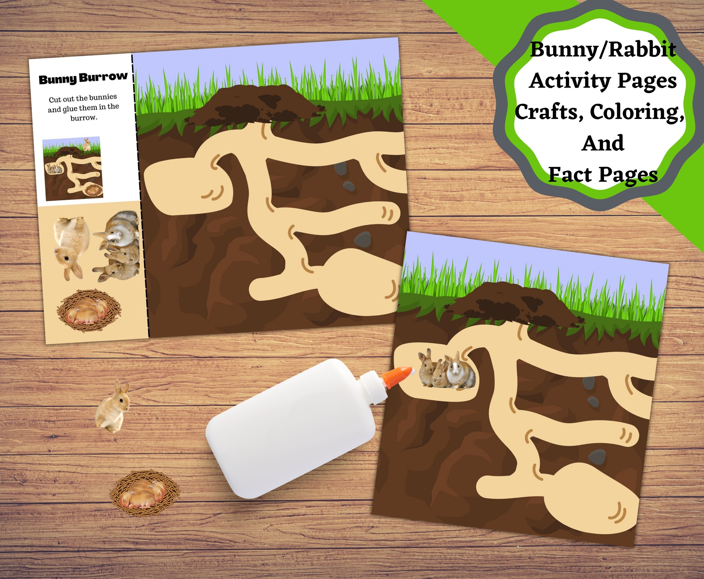 Rabbit Activity Pattern Printable Rabbit/bunny Learning Set. Build a Bunny, Crafts Coloring ...