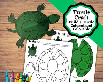 Könnte beinhalten: Druckbare Schildkröten-Bastelvorlage. Die Vorlage enthält eine farbige Schildkröte, eine Schwarzweiß-Umrandung einer Schildkröte und Anweisungen zum Bau einer 3D-Schildkröte. Der Text auf der Vorlage lautet "Turtle Craft Build a Turtle Colored and Colorable".