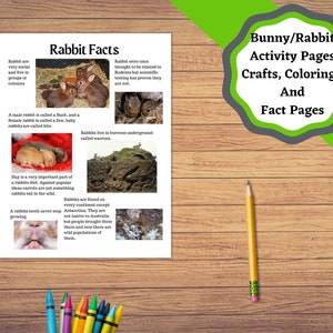 Printable Rabbit/bunny Learning Set. Build a Bunny, Crafts Coloring ...