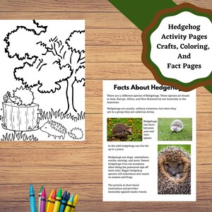 Hedgehog activity pages, printable craft and educational pages for students image 5