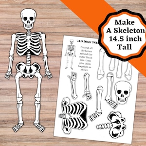 Printable Skeleton craft. 14.5 inch skeleton cut and glue craft. Easy Skeleton or Halloween craft.