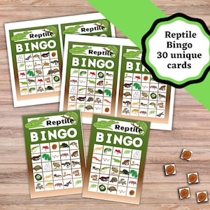 Op de afbeelding: Een set reptiel-thema Bingokaarten met een groen en wit ontwerp. De kaarten bevatten verschillende reptielenillustraties en de tekst "Reptile BINGO". De afbeelding bevat ook spelmarkeringen met reptielenvoetspoorontwerpen.