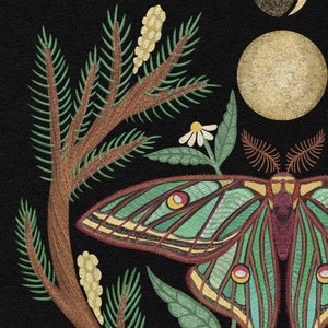 Spanish Moon Moth Print - Moth Illustration - Luna Moth Print - Witchy ...