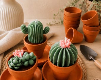 Succulent Candle / Cactus Candle / Terrarium / Flower Candle / Plant Mom / Baby Shower / Bridal Shower / Party Favor / Home Decor / Gift